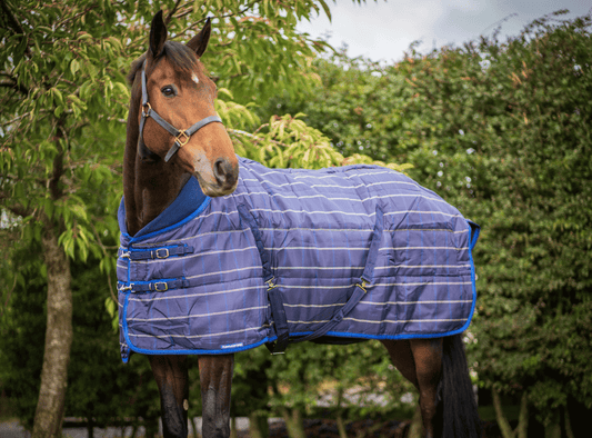 Turfmasters Comfort Quilt Stable Rug (300g) - Navy Check