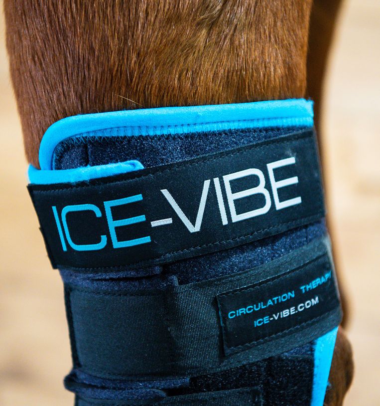 Ice Vibe Hock Wrap- Complete Set