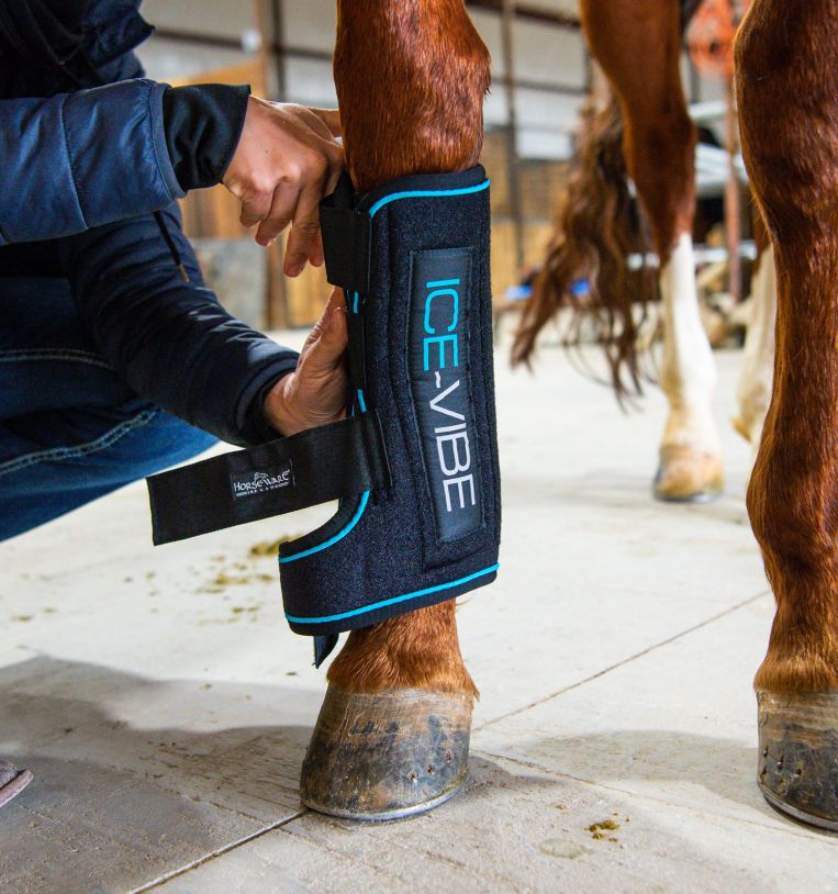 Ice Vibe Boot by Horseware Black/Blue