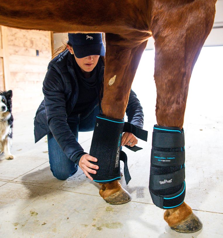 Ice Vibe Boot by Horseware Black/Blue