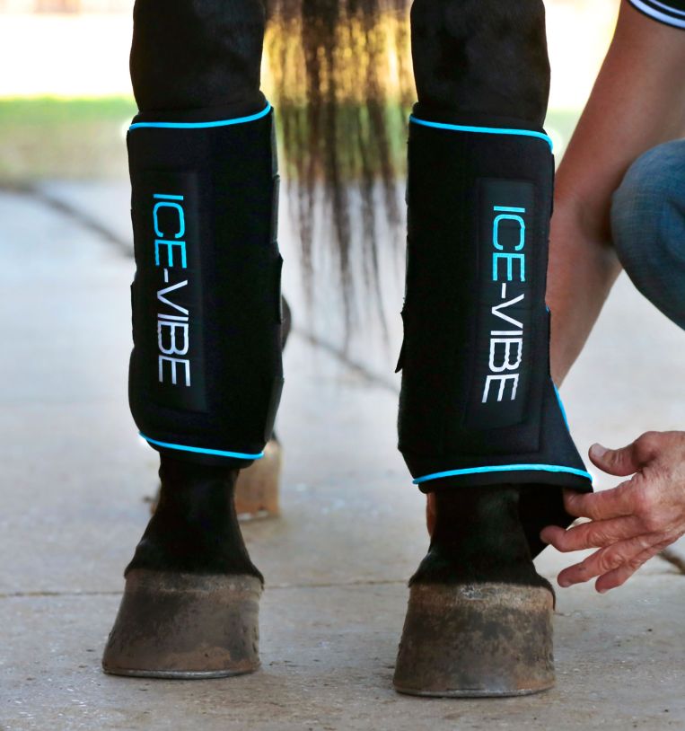 Ice Vibe Boot by Horseware Black/Blue