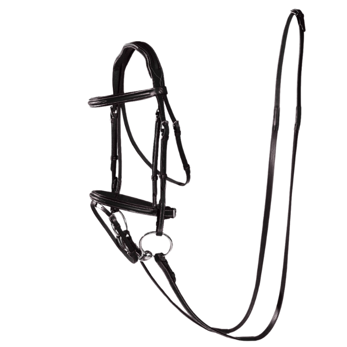 Turfmasters Flash Bridle