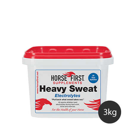 Heavy Sweat - Horse First