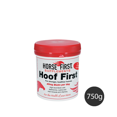 Hoof First - Horse First