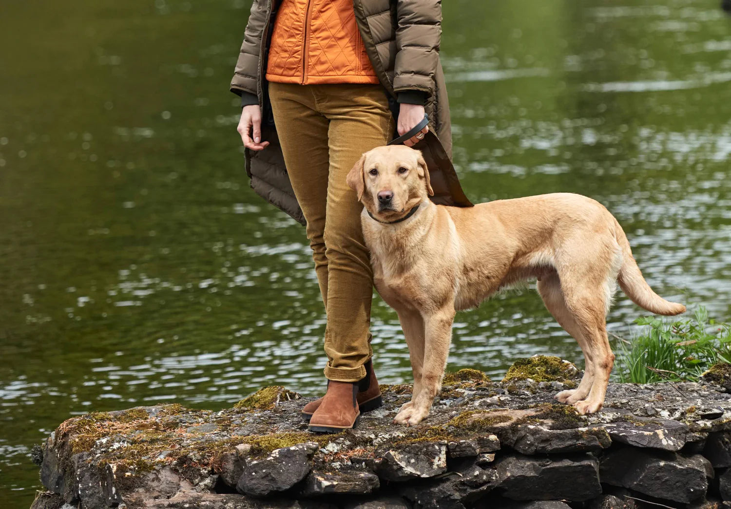 Dubarry Wmn Honeysuckle Jeans Harvest Gold