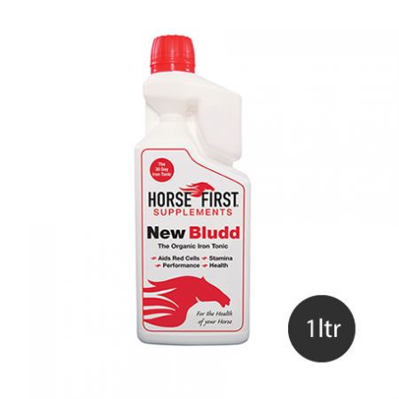 New Bludd - Horse First