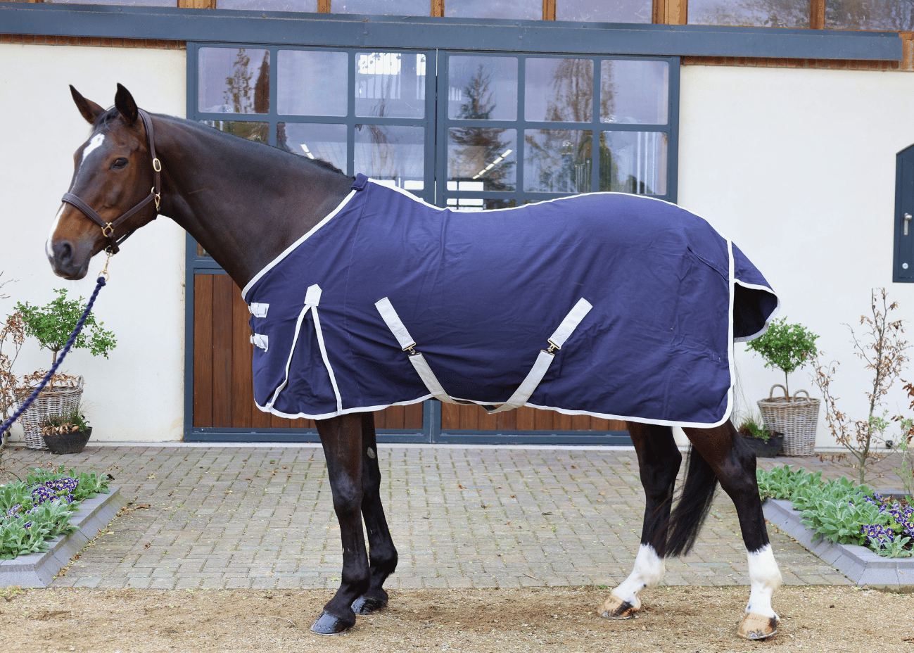 Turfmasters Cotton Summer Sheet - Navy/Silver