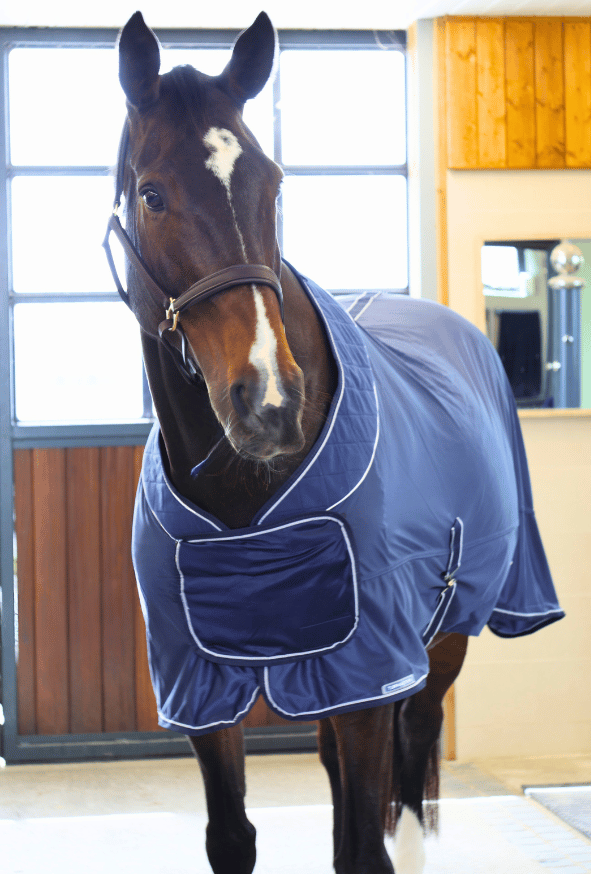 Elite Cooler No Logo Navy