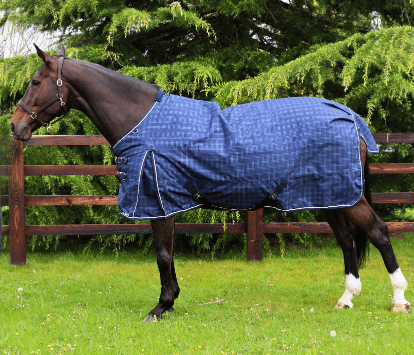 Turfmasters Check Medium Weight Turnout Rug - Standard Neck - Navy