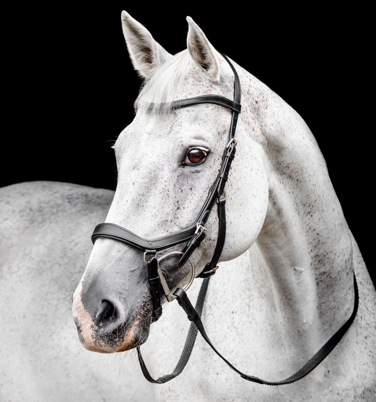 Horseware Micklem Competition Bridle