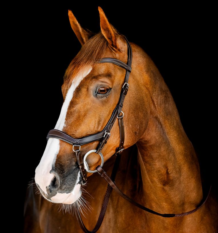 Horseware Micklem Competition Bridle