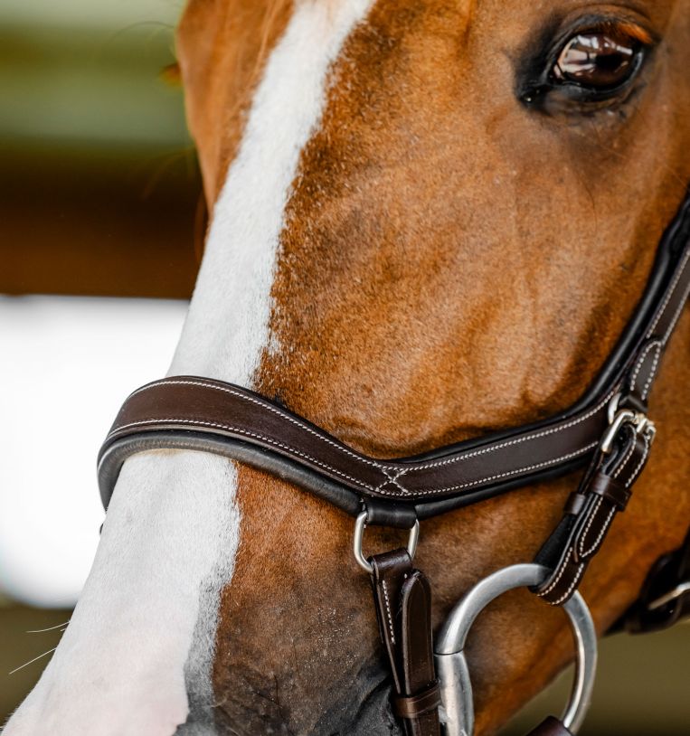 Horseware Micklem Competition Bridle