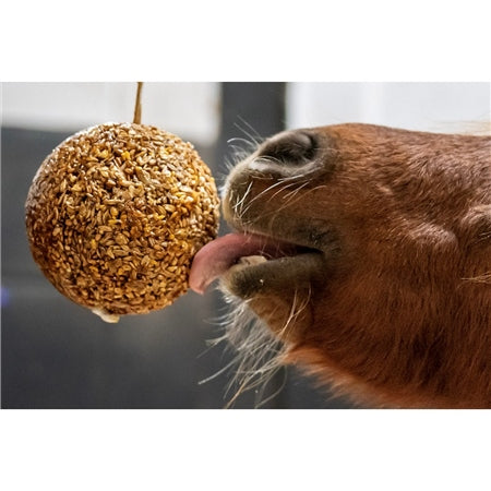 Likit Granola Stall Ball Peppermint 1.6kg