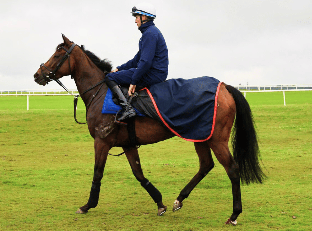 Turfmasters Waterproof Exercise Sheet