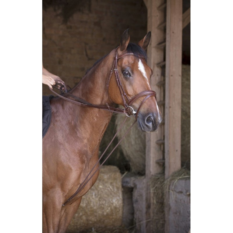 Web/Cord Draw Reins-Brown