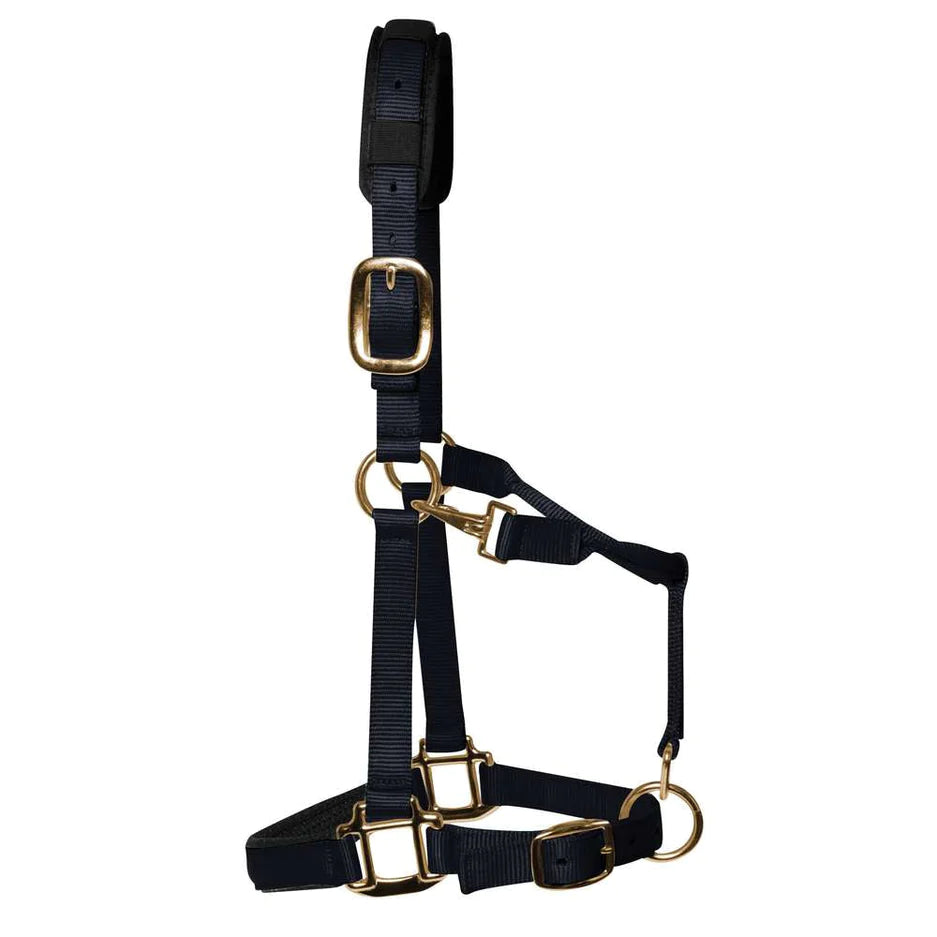 KM Elite Halter