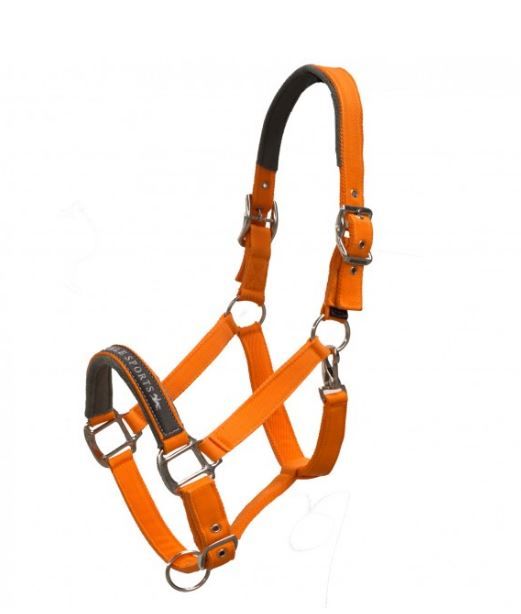 Schockemohle Memphis Headcollar