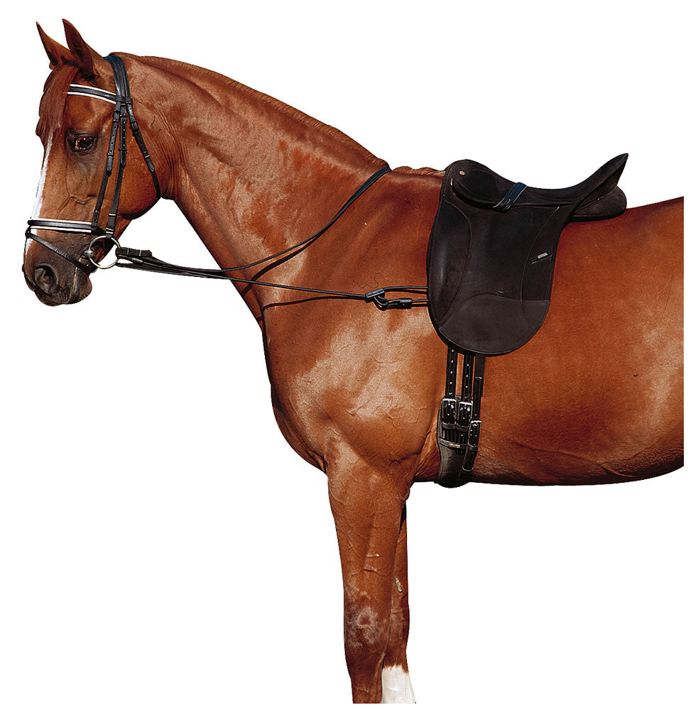 Elastic Bungee Side Reins