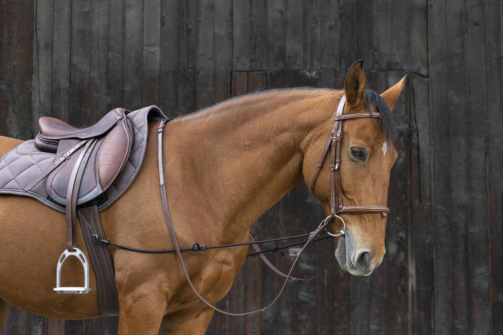 Elastic Bungee Side Reins