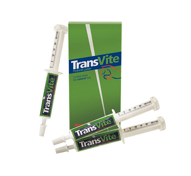 Transvite Paste 3 x 30g