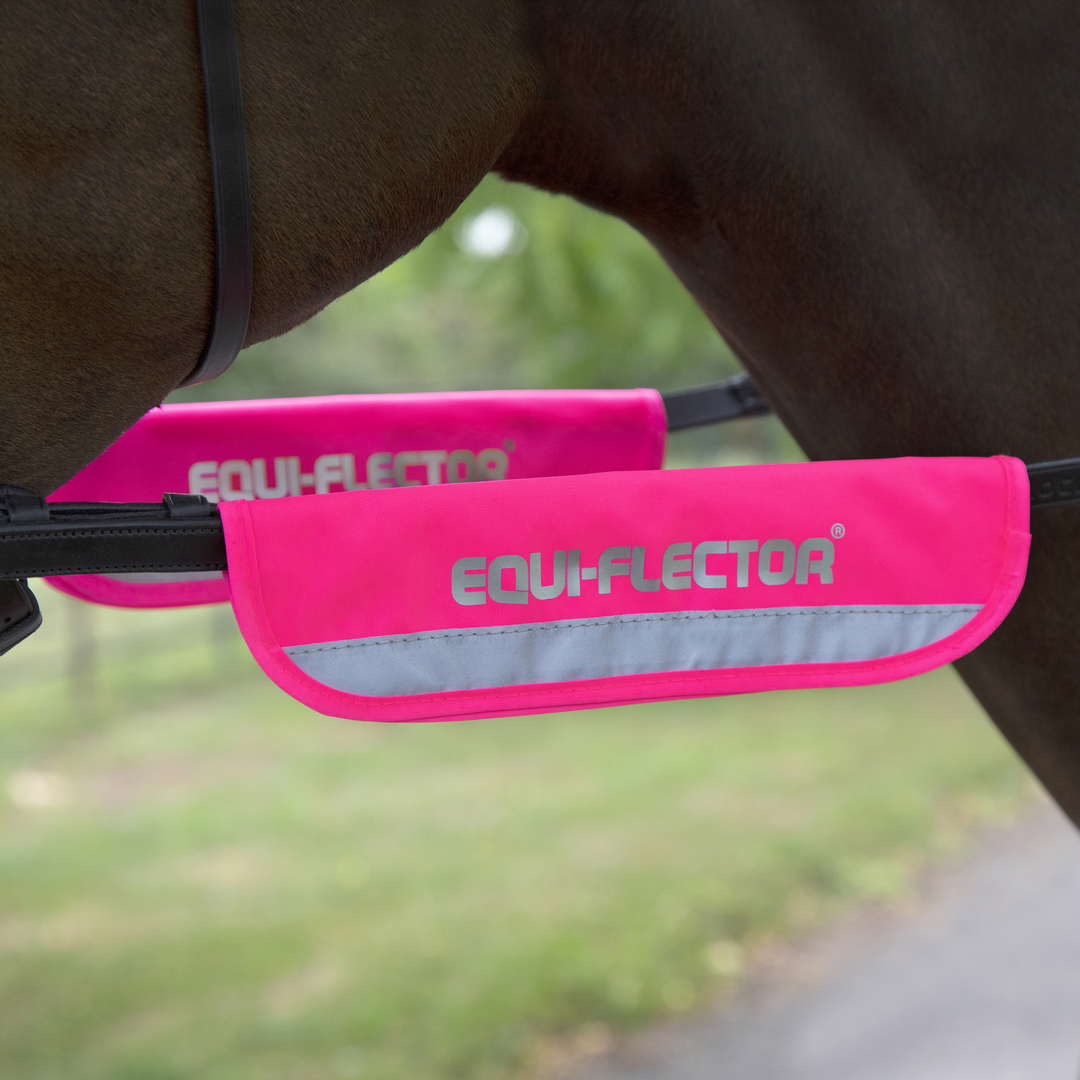 equiflect Reflective Bridle Kit — TRI Equestrian