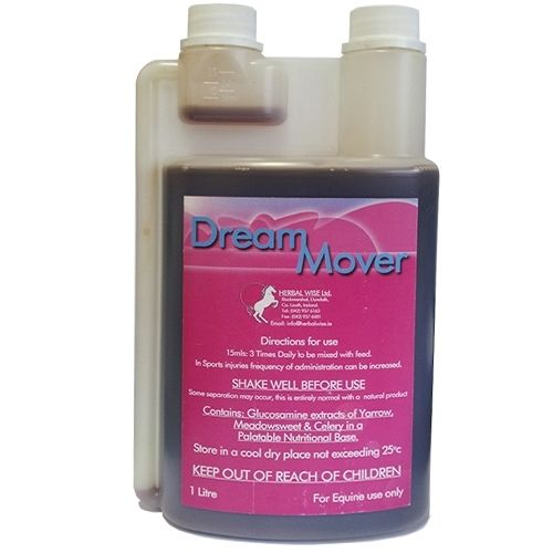 Dream Mover