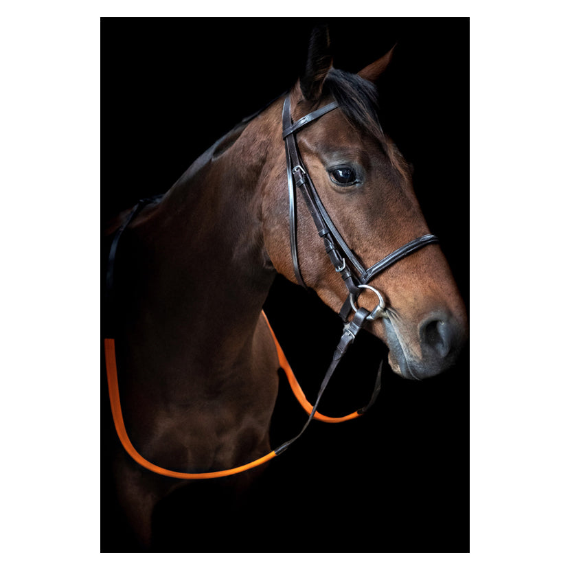 Leather Racing Bridle - Brown
