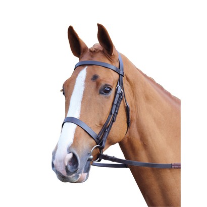 Velociti GARA Plain Bridle - Havana