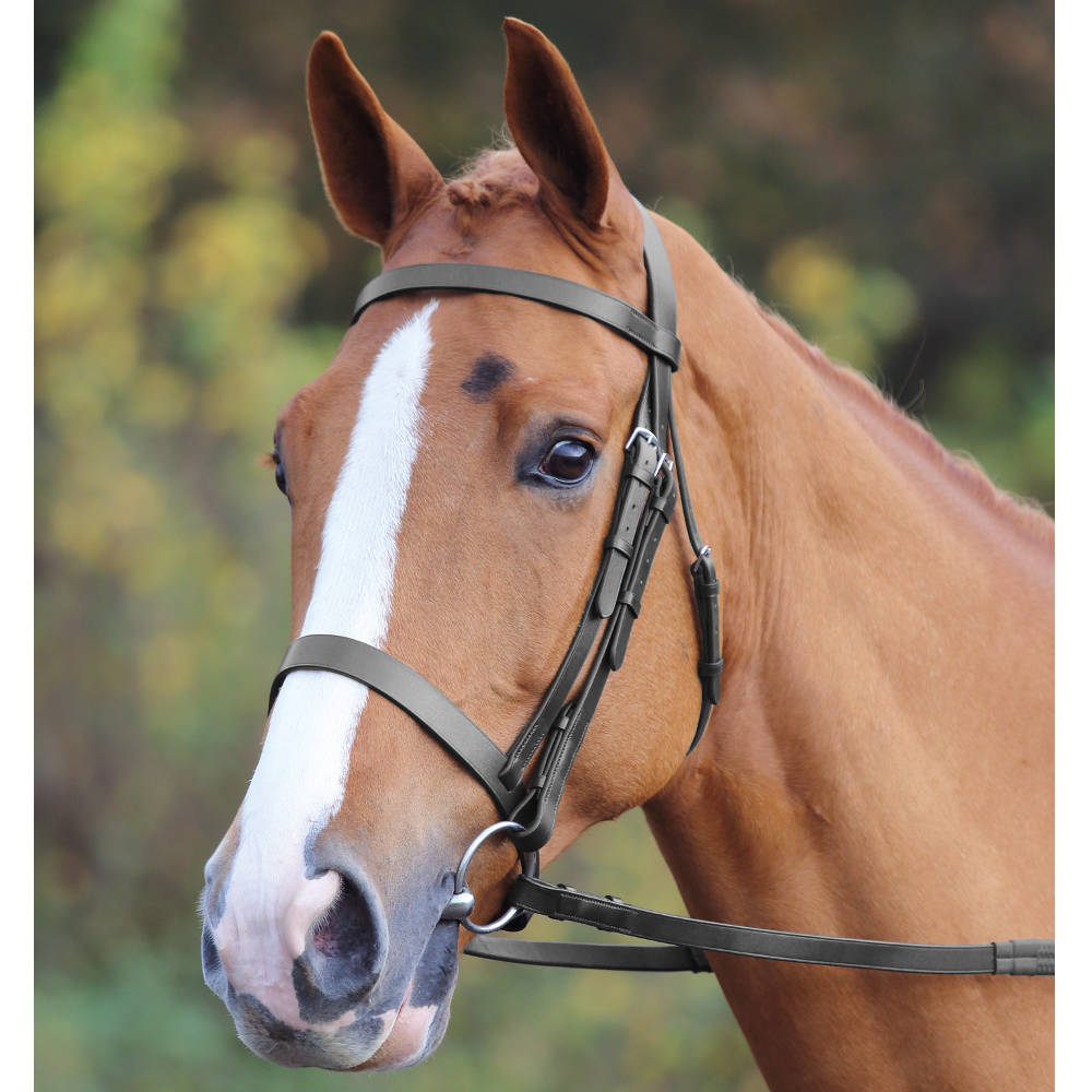Velociti GARA Plain Bridle - Havana