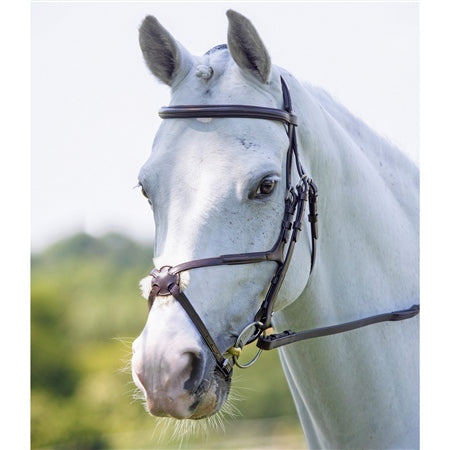 Velociti RAPIDA Grackle Bridle Black