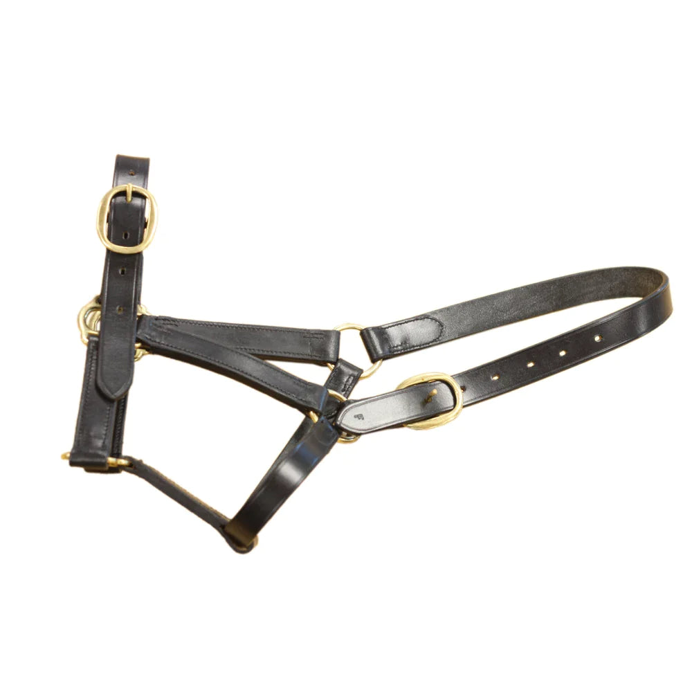 Mackey Classic Leather Headcollar