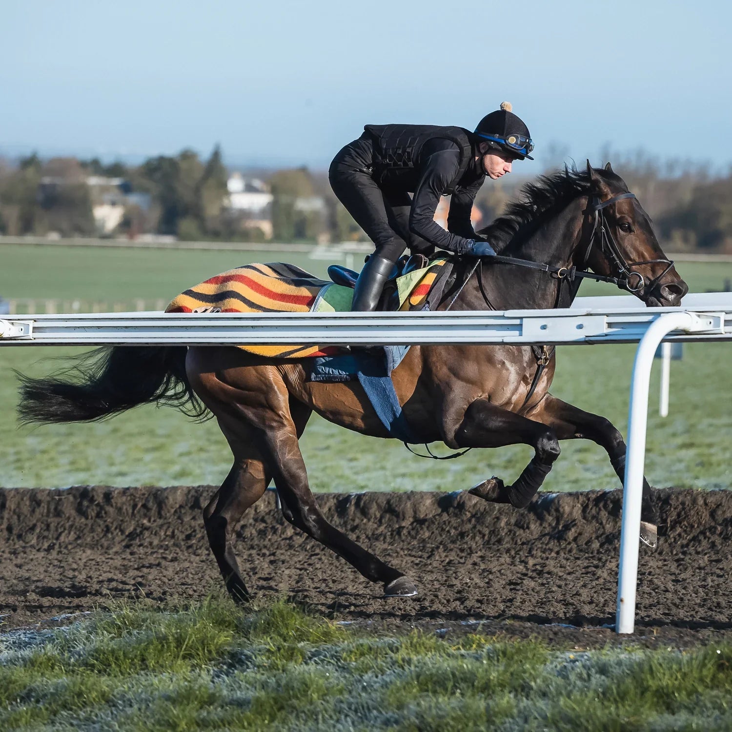 Racesafe Race Motion 2.0 - Black