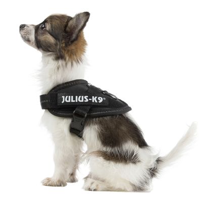 Julius K-9 IDC Power Harness Black