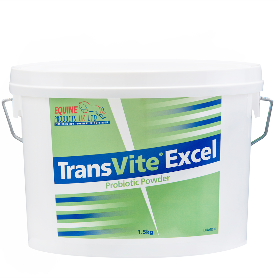 Transvite Excel